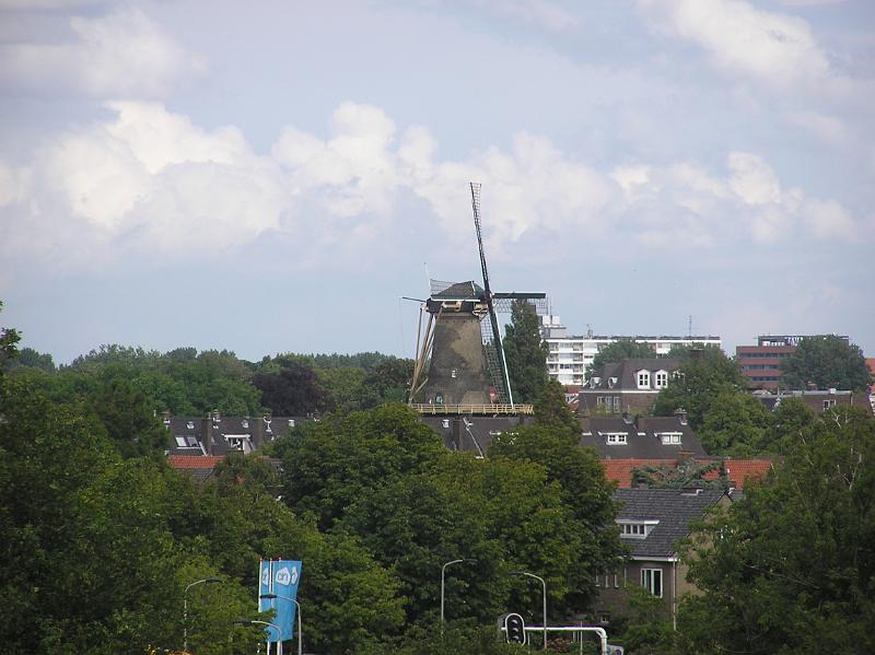 P1010011.JPG