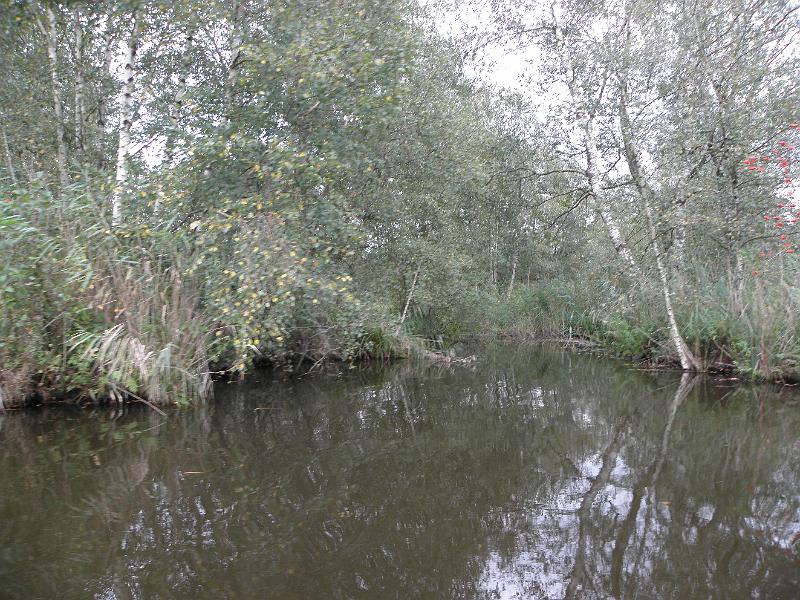 P9170495.JPG