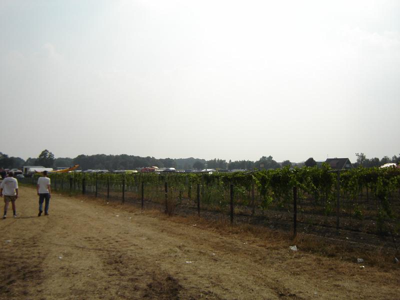 DSC01113.JPG