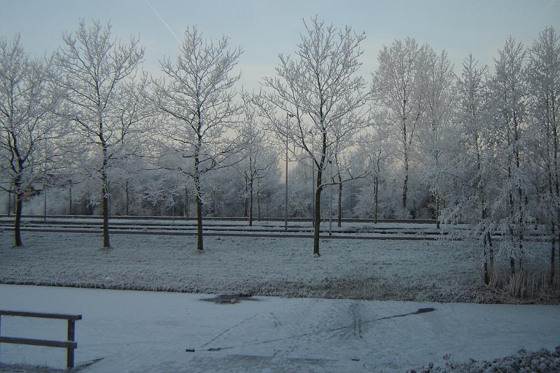 DSC03591.JPG