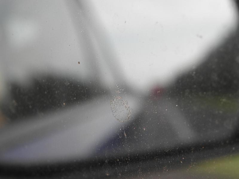 P8250149.JPG