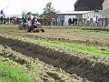 P4290341