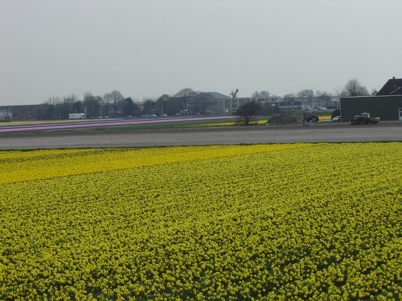 DSC00937.JPG