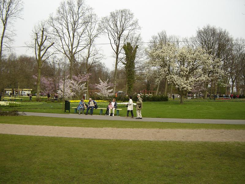 DSC00942.JPG