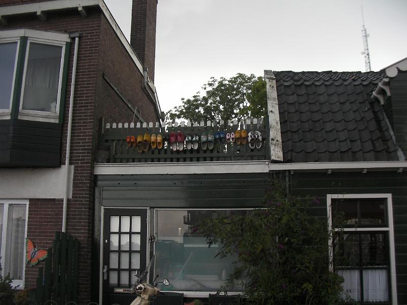 SANY0153.JPG