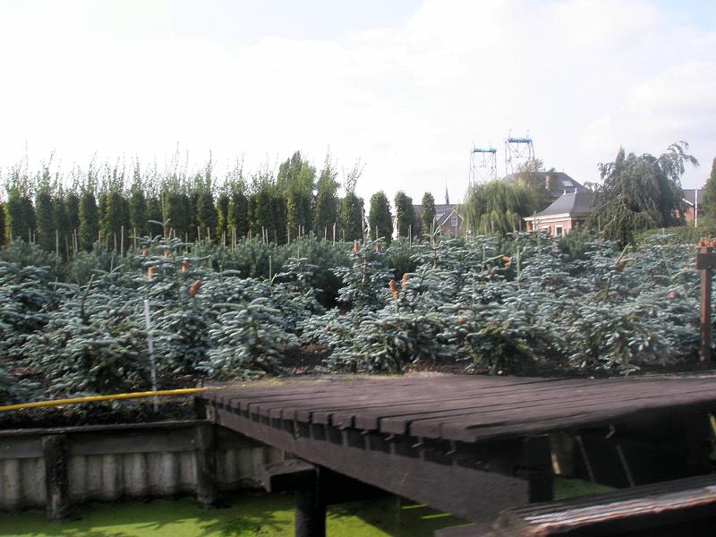 C005.jpg