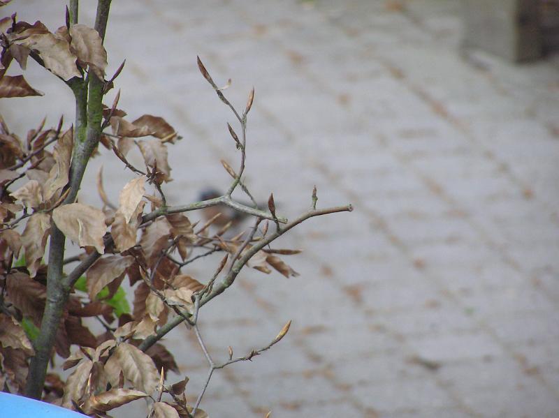 P1010007.JPG