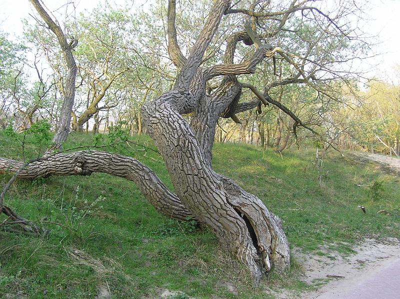 P1010014.JPG