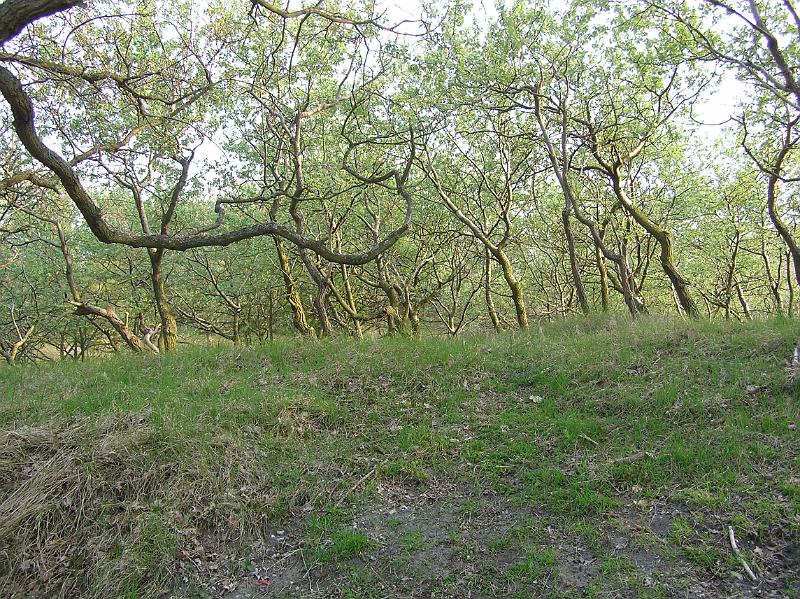 P1010015.JPG