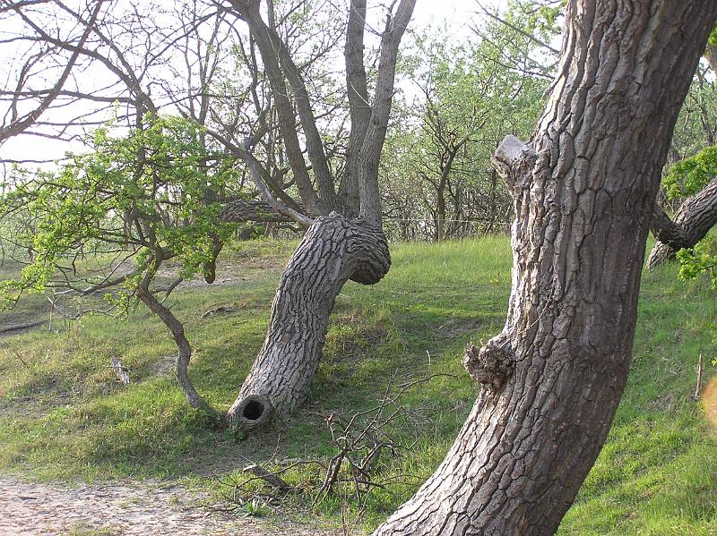 P1010017.JPG