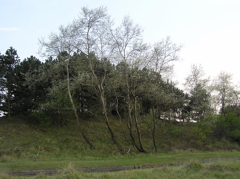 P1010042.JPG