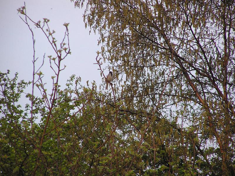 P1010046.JPG
