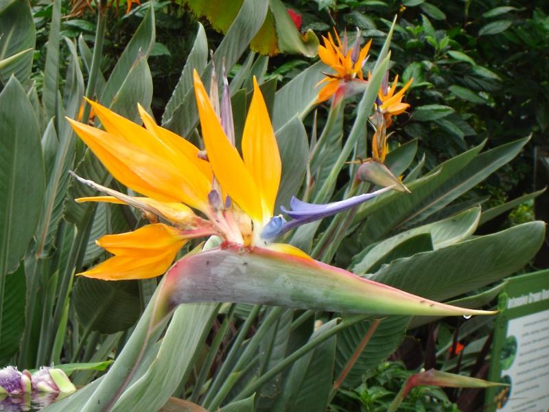 DSC00721.JPG