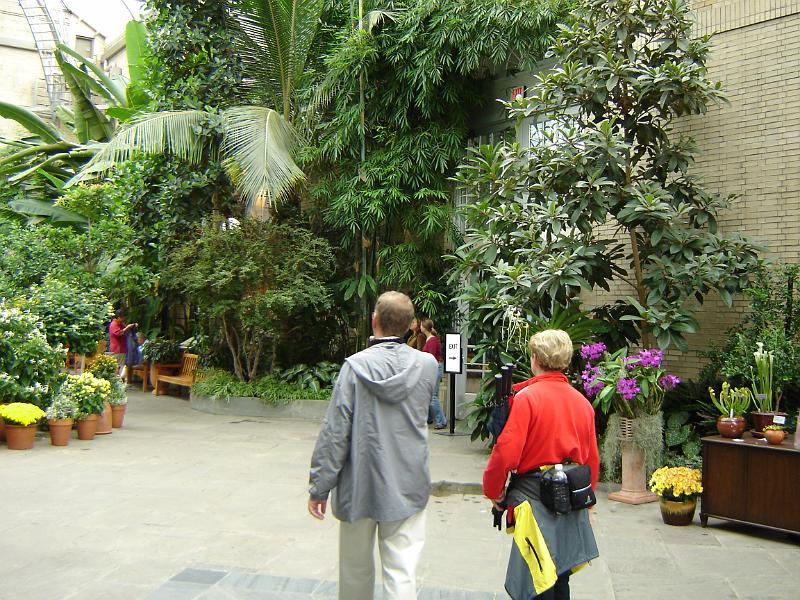 DSC00733.JPG