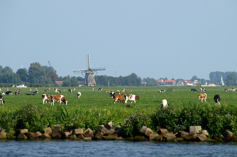 1044.JPG