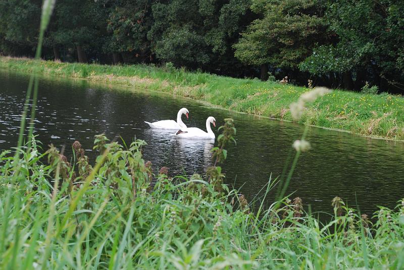 DSC_0132.JPG