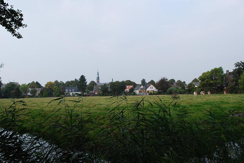 DSC_0146.JPG