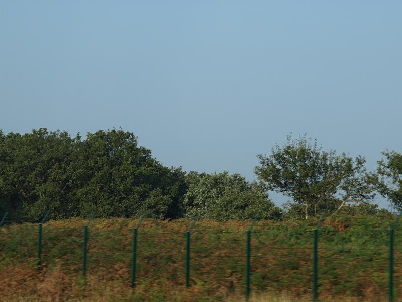 P1018894.JPG