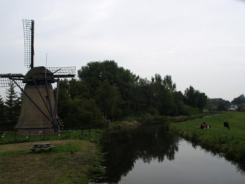 P1018949.JPG