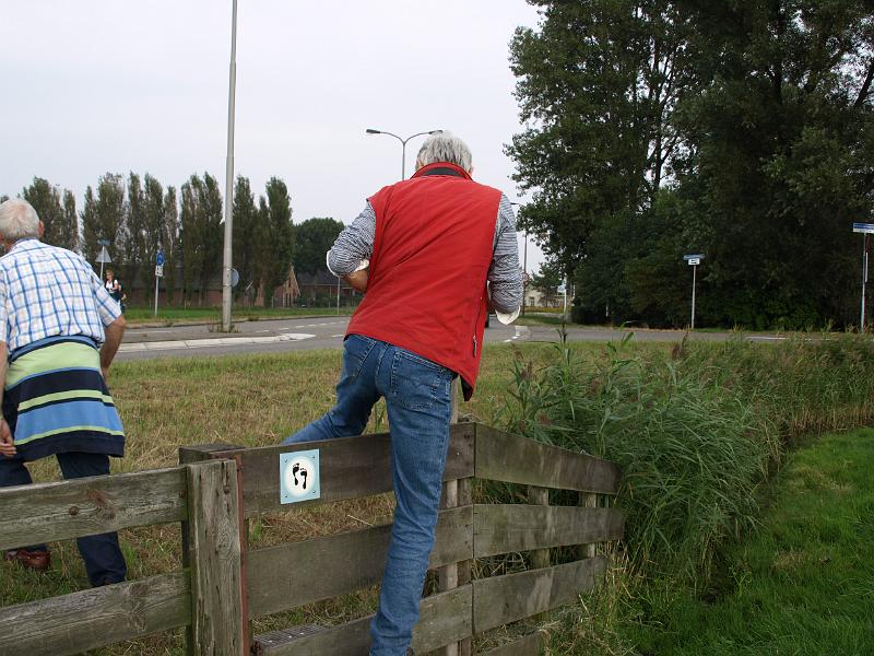 P1018995.JPG